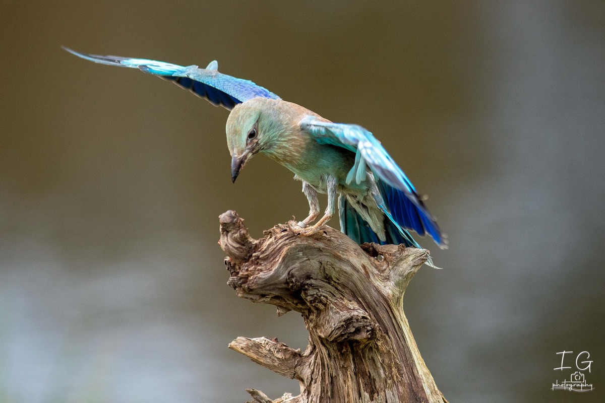 AK6I1831 31 oktober 2021 1536 23